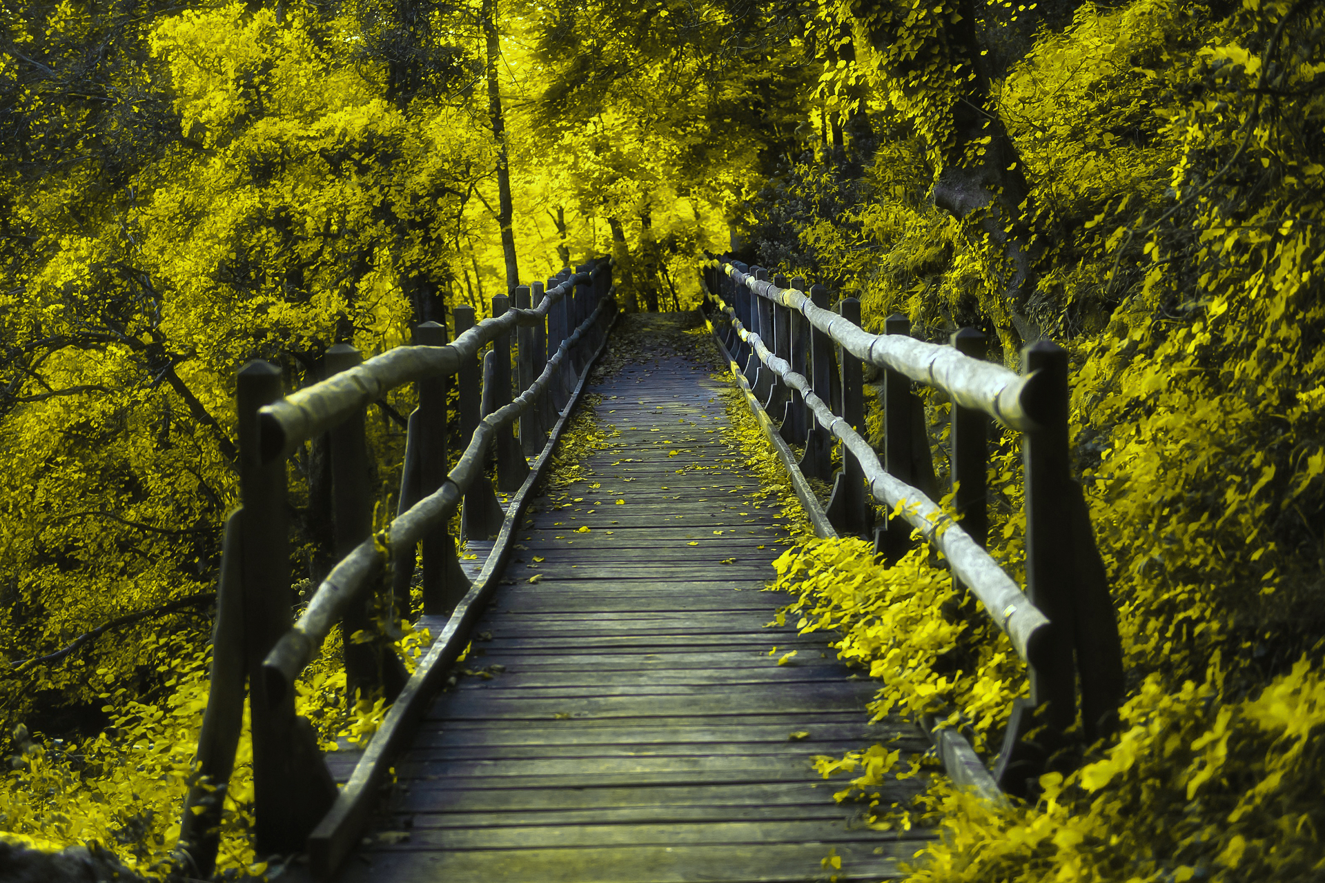 nature